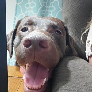 Meet your Posher, Eileen